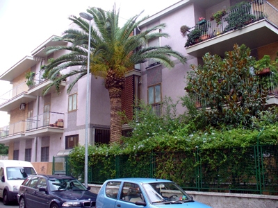 Bed Breakfast in BARI PICONE 19